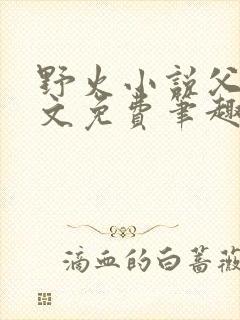 野火小说父女全文免费笔趣阁