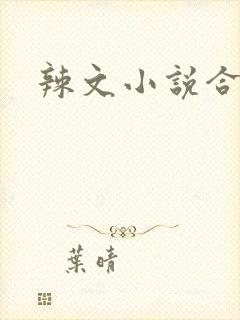 辣文小说合集