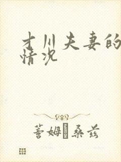 才川夫妻的恋爱情况