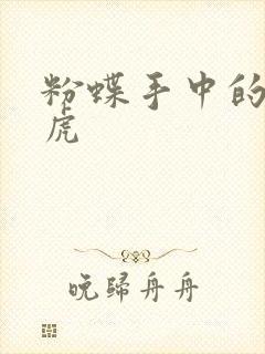 粉蝶手中的纸老虎