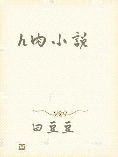 h肉小说