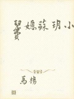 儿媳苏玥小说免费