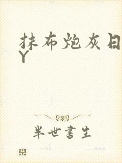 抹布炮灰日记BY封面