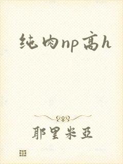 纯肉np高h封面