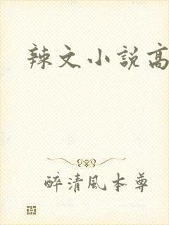 辣文小说高h