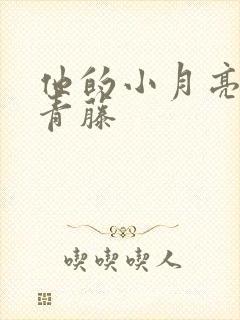 他的小月亮by青藤