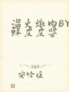 温火炖肉BY海鲜皮皮酱