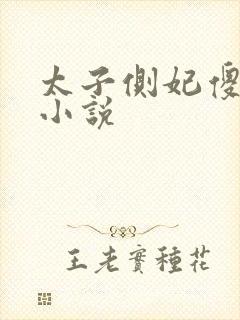 太子侧妃傻乎乎小说封面