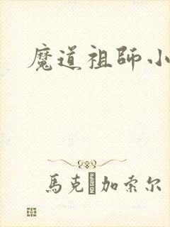 魔道祖师小说封面