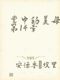 掌中的美母版主第14章