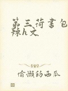第三荷书包网高辣h文