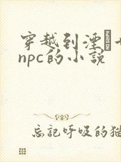 穿越到湮婸世界npc的小说