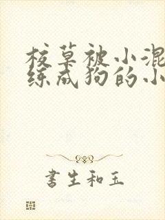 校草被小混混训练成狗的小说封面