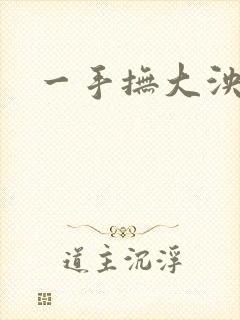 一手抚大泱暖封面