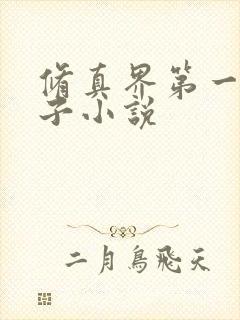 修真界第一病秧子小说