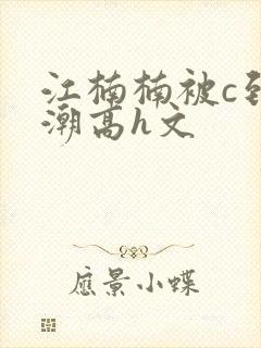 江楠楠被c到高潮高h文