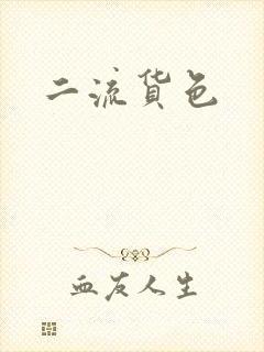 二流货色