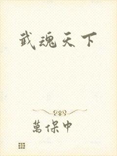 武魂天下