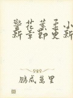 警花叶柔小说最新章节更新