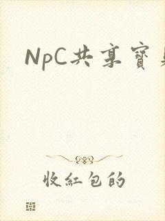 NpC共享宝贝