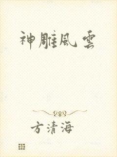 神雕风云