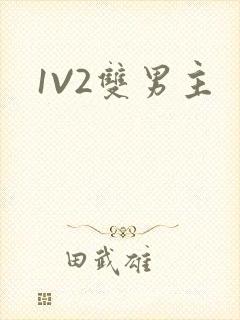 1V2双男主