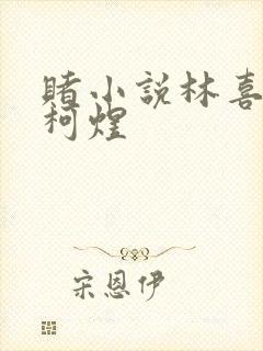 赌小说林喜朝和柯煜