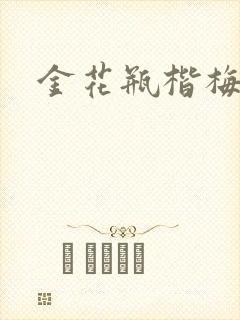 金花瓶楷梅花封面