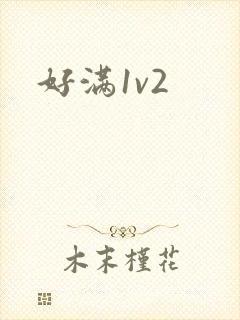 好满1v2封面
