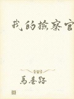 我的检察官先生封面