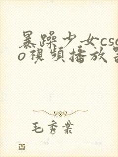 暴躁少女csgo视频播放器推荐