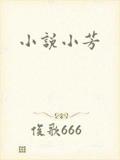 小说小芳