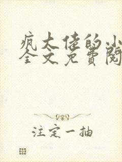 疯大佬的小玩物全文免费阅读小说