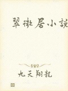 翠微居小说