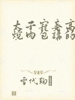 太子宠妾高肉红烧肉包讲的什么