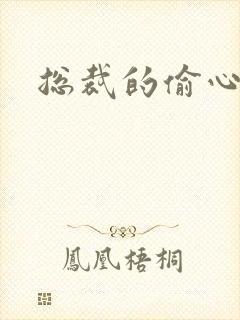 总裁的偷心娇妻封面