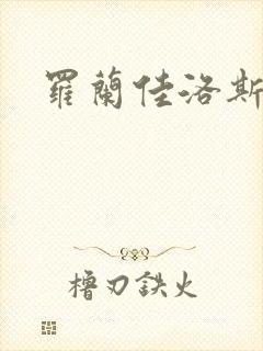 罗兰佳洛斯封面