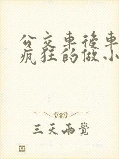 公交车后车座的疯狂的做小封面