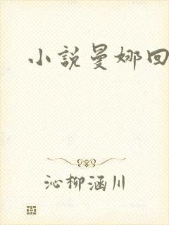 小说曼娜回忆录