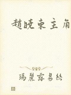 赵晓东主角小说