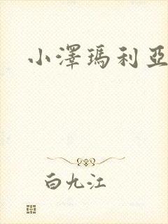 小泽玛利亚作品