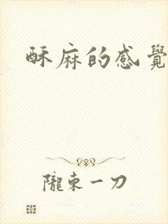 酥麻的感觉小说