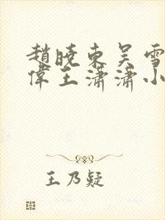 赵晓东吴雪晴郑伟王潇潇小说封面