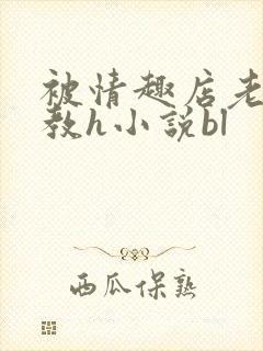 被情趣店老板调教h小说bl封面