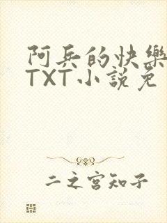 阿兵的快乐生活TXT小说免费阅读全章