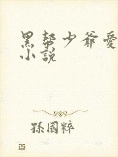 黑帮少爷爱上我小说封面