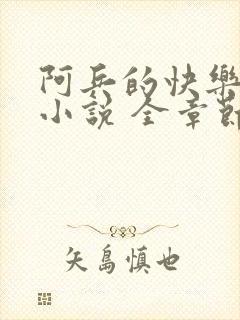 阿兵的快乐生活小说 全章节阅读免费