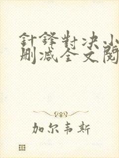 针锋对决小说未删减全文阅读