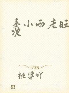 秦小雨老旺第一次