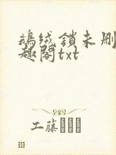 鹅绒锁未删除笔趣阁txt封面